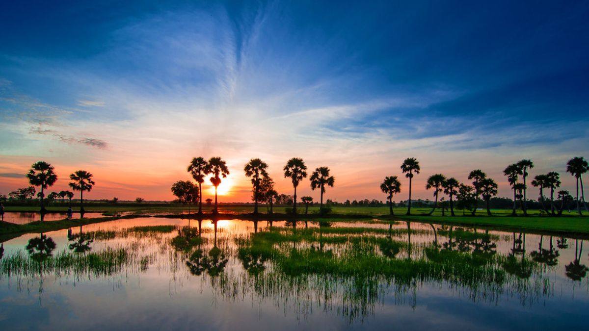 Hoi An Heritage, Countryside & Beach Retreat – 7 Days | Premium Private Tour Led By Women By Women Hoi An Heritage, Countryside & Beach Retreat – 7 Days | Premium Private Tour Led By Women By Women