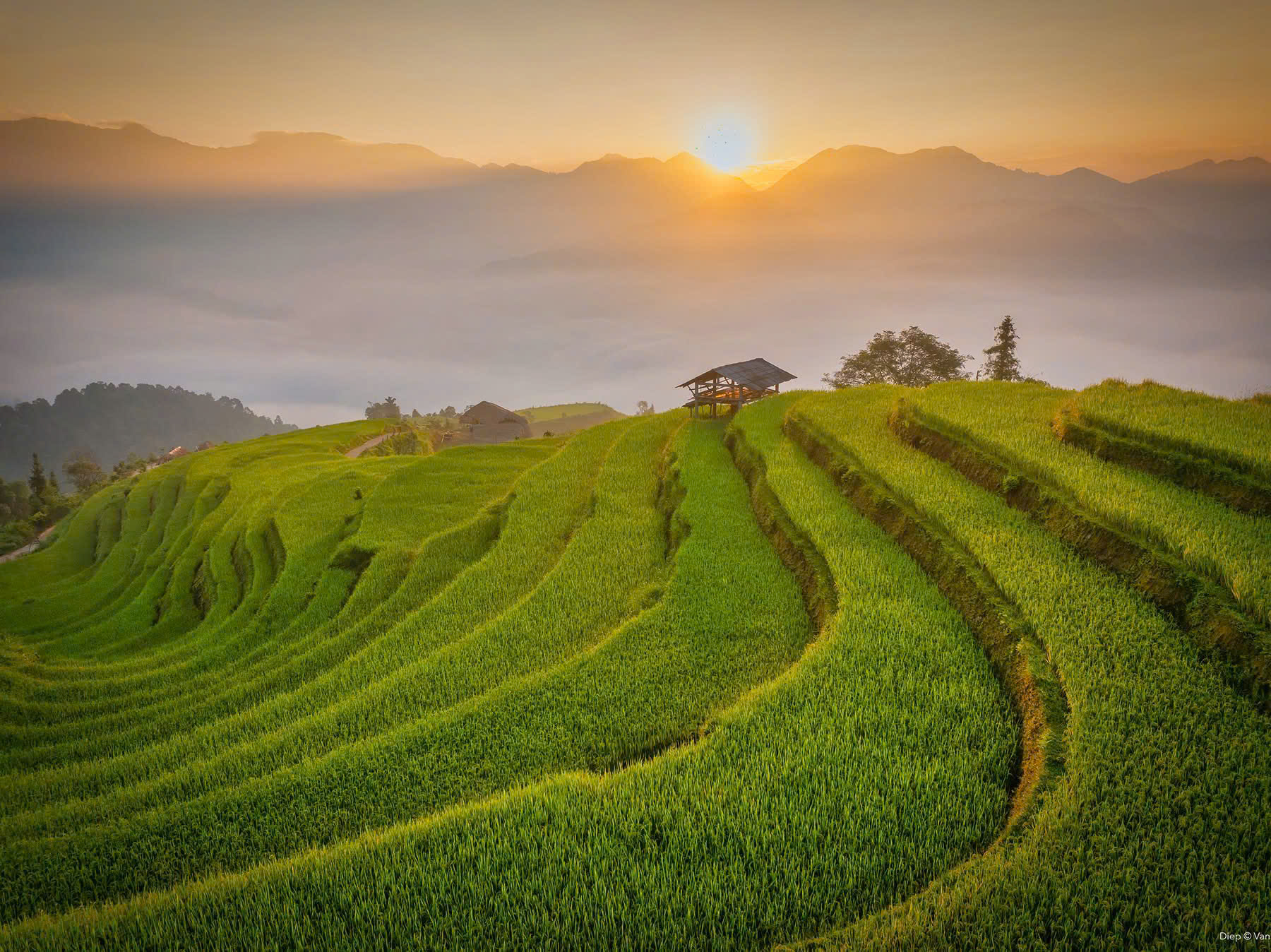 Ha Giang Jeep Adventure 4 Days – Premium Private Jeep Tours Led by Women Ha Giang Jeep Adventure 4 Days – Premium Private Jeep Tours Led by Women