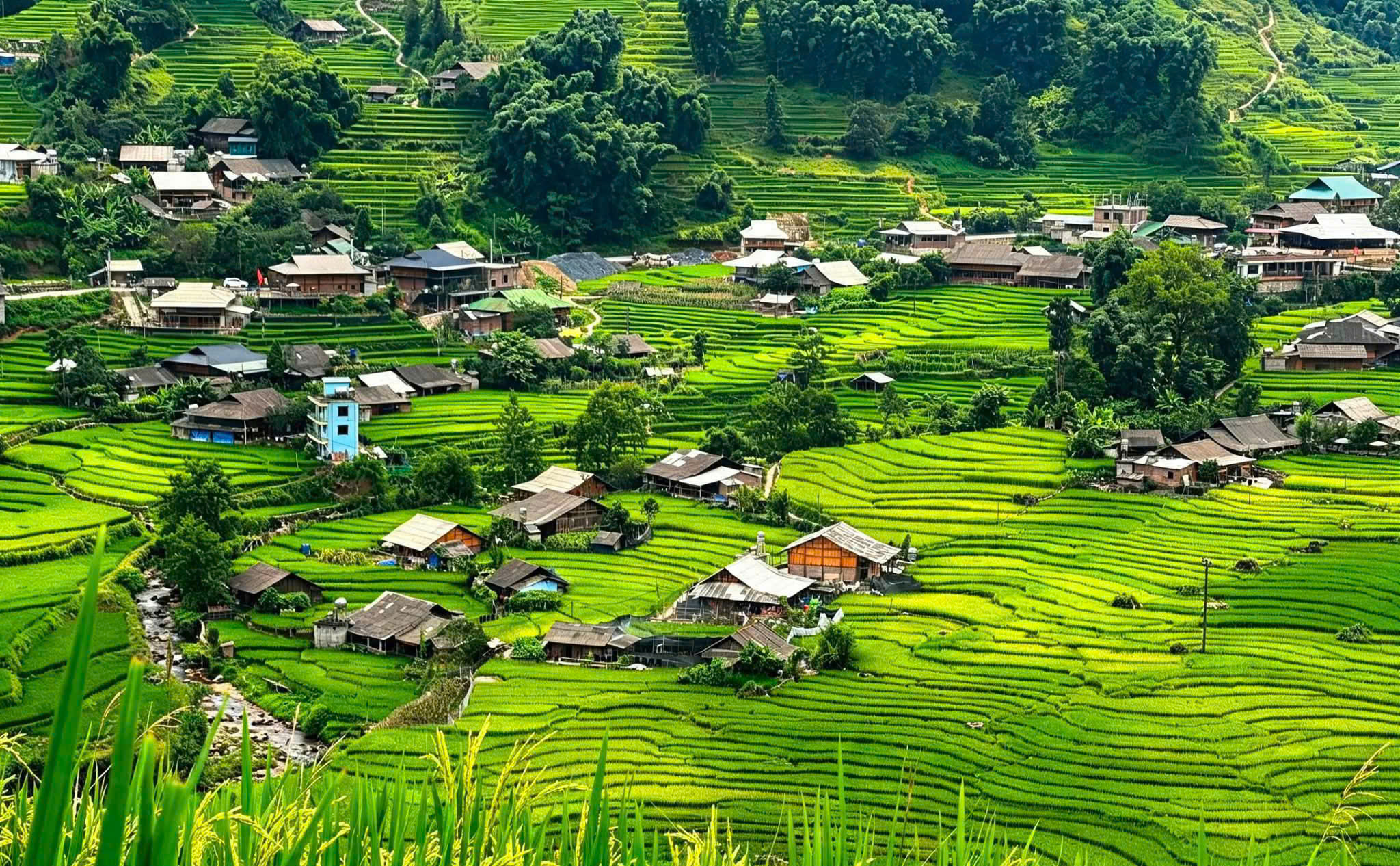 Sapa Highlands & Bac Ha Ethnic Culture Discovery – 5 Days | Premium Private Tour Led By Women Sapa Highlands & Bac Ha Ethnic Culture Discovery – 5 Days | Premium Private Tour Led By Women