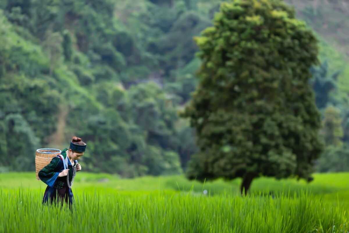 Ha Giang Jeep Adventure 4 Days – Premium Private Jeep Tours Led by Women