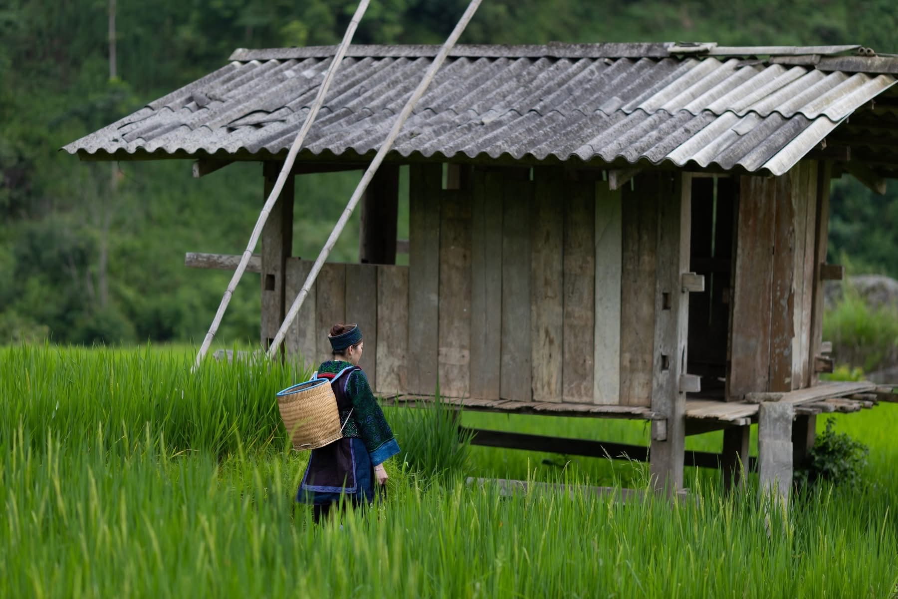 Ha Giang Jeep Adventure 4 Days – Premium Private Jeep Tours Led by Women Ha Giang Jeep Adventure 4 Days – Premium Private Jeep Tours Led by Women