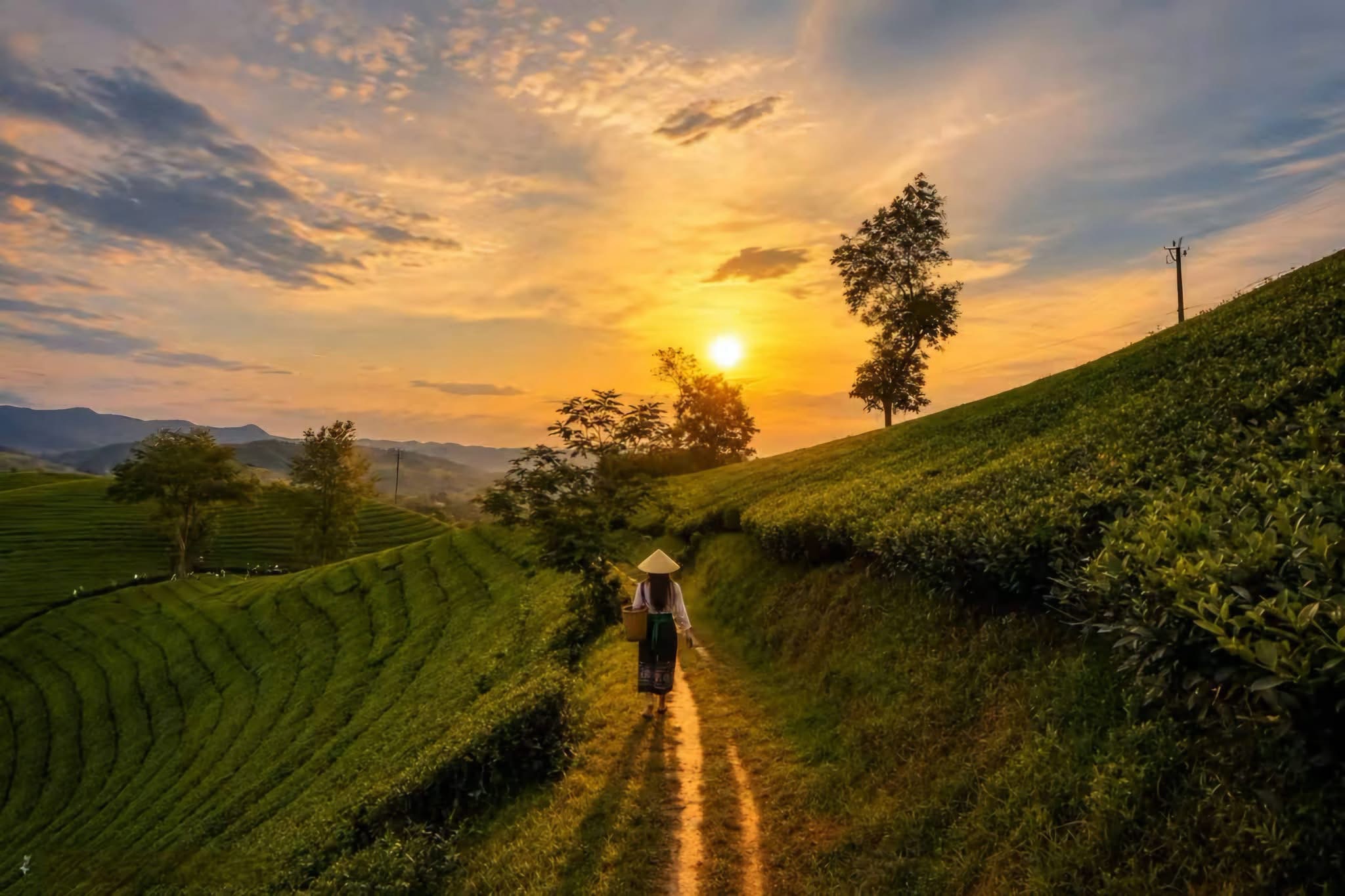 Mai Chau Valley Nature Escape – 2 Days | Premium Private Tour Led By Women Mai Chau Valley Nature Escape – 2 Days | Premium Private Tour Led By Women