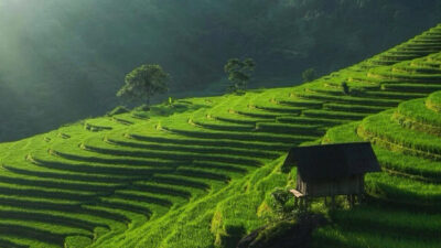 Northern Vietnam Grand Discovery – 7 Days | Premium Private Tour Led By Women Northern Vietnam Grand Discovery – 7 Days | Premium Private Tour Led By Women