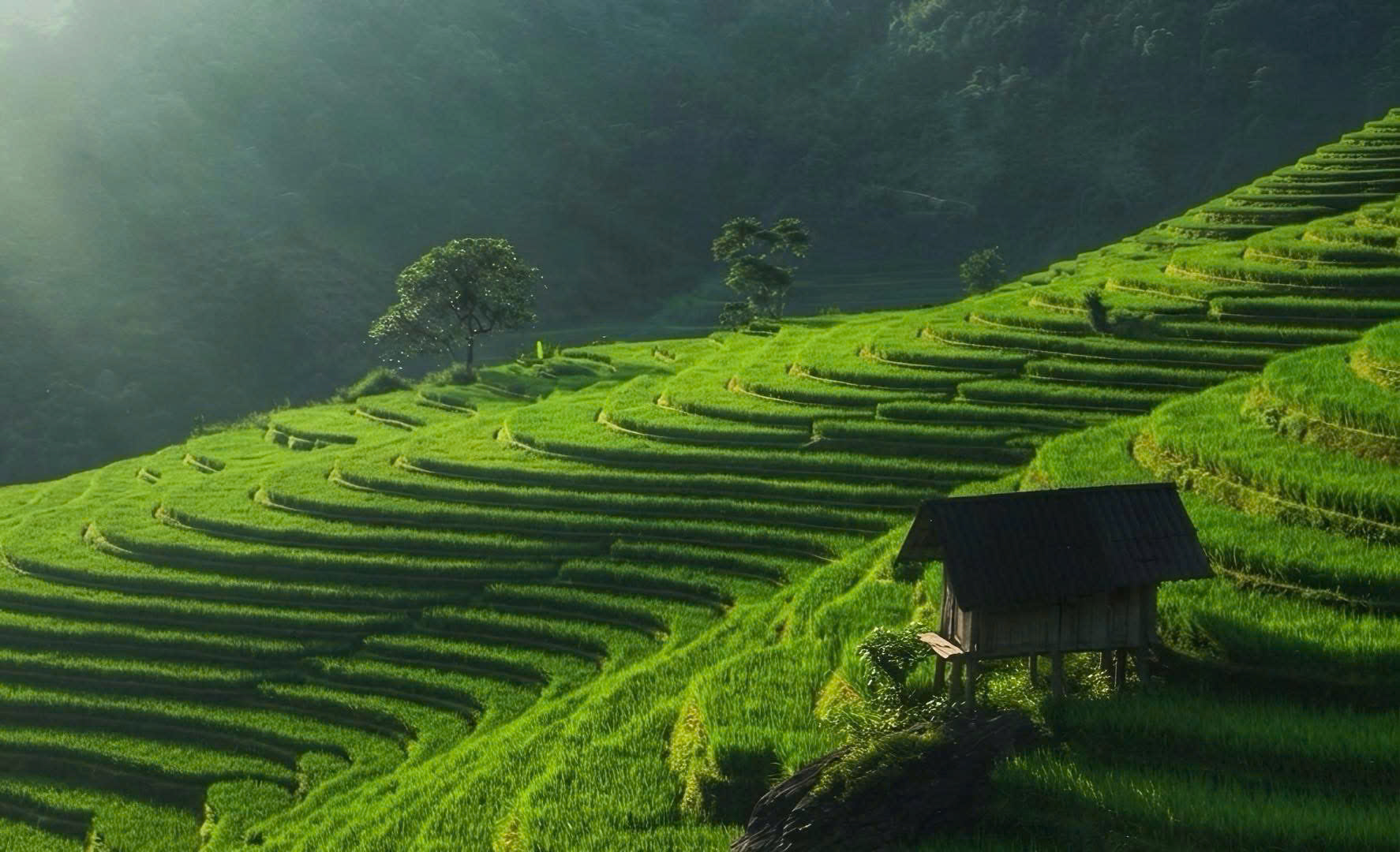 Northern Vietnam Grand Discovery – 7 Days | Premium Private Tour Led By Women Northern Vietnam Grand Discovery – 7 Days | Premium Private Tour Led By Women