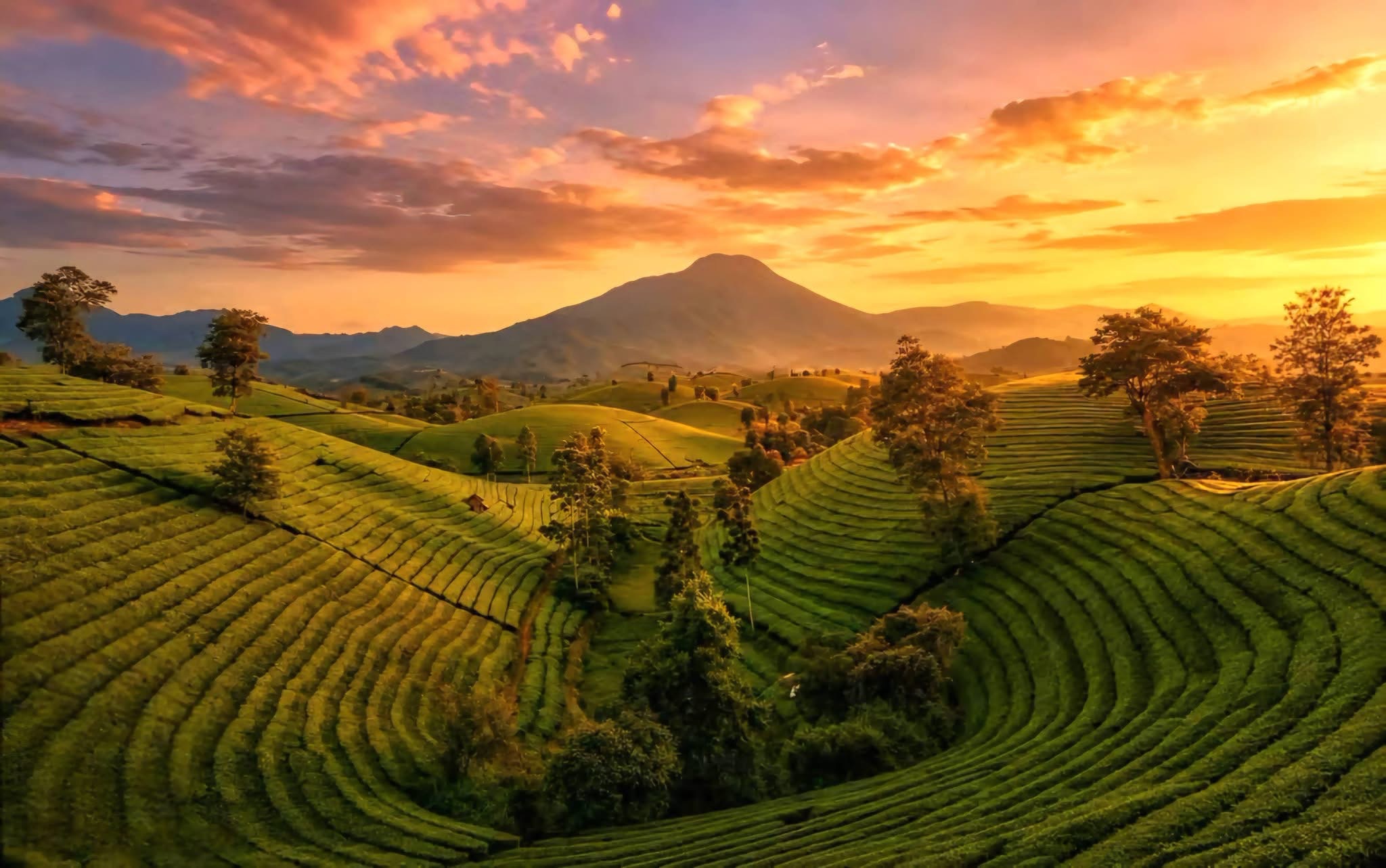 Mai Chau, Pu Luong & Ninh Binh Explorer – 4 Days | Premium Private Tour Led By Women Mai Chau, Pu Luong & Ninh Binh Explorer – 4 Days | Premium Private Tour Led By Women