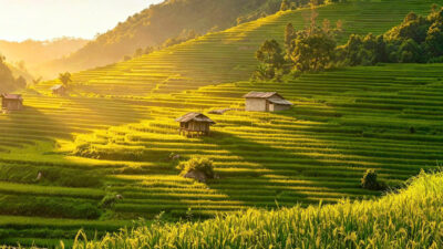 Hanoi, Halong Bay & Mai Chau Discovery – 4 Days | Premium Private Tour Led By Women Hanoi, Halong Bay & Mai Chau Discovery – 4 Days | Premium Private Tour Led By Women