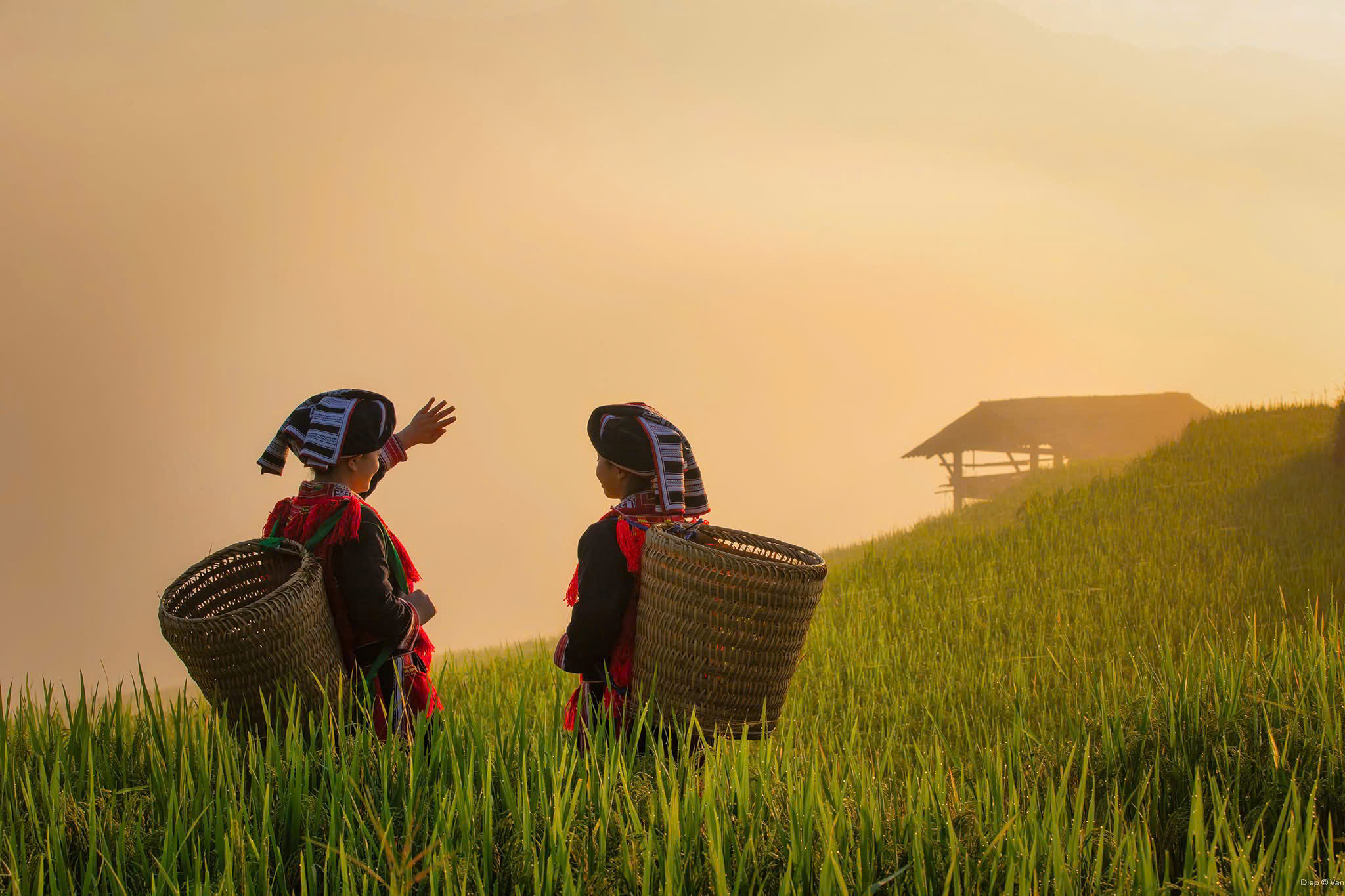 Northern Vietnam Grand Discovery – 7 Days | Premium Private Tour Led By Women Northern Vietnam Grand Discovery – 7 Days | Premium Private Tour Led By Women