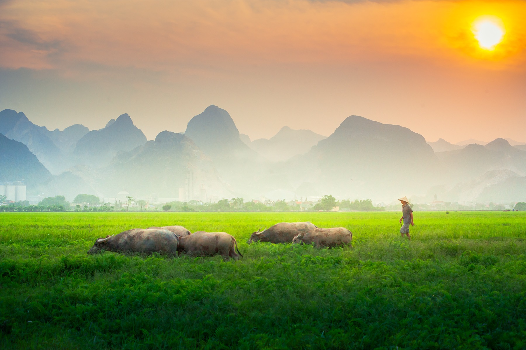 Northern Vietnam Discovery – 4 Days | Premium Private Tour Led By Women Northern Vietnam Discovery – 4 Days | Premium Private Tour Led By Women