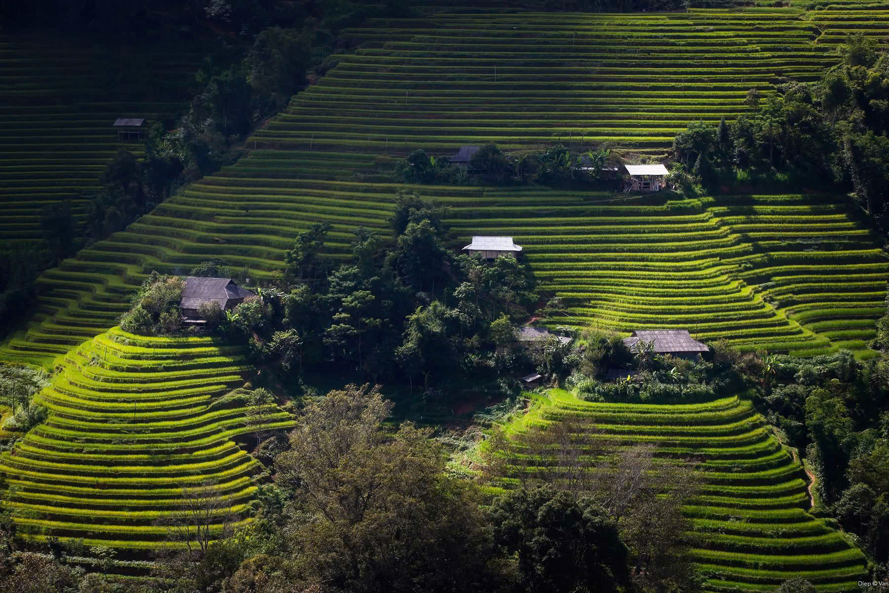 Ha Giang Jeep Adventure 4 Days – Premium Private Jeep Tours Led by Women Ha Giang Jeep Adventure 4 Days – Premium Private Jeep Tours Led by Women