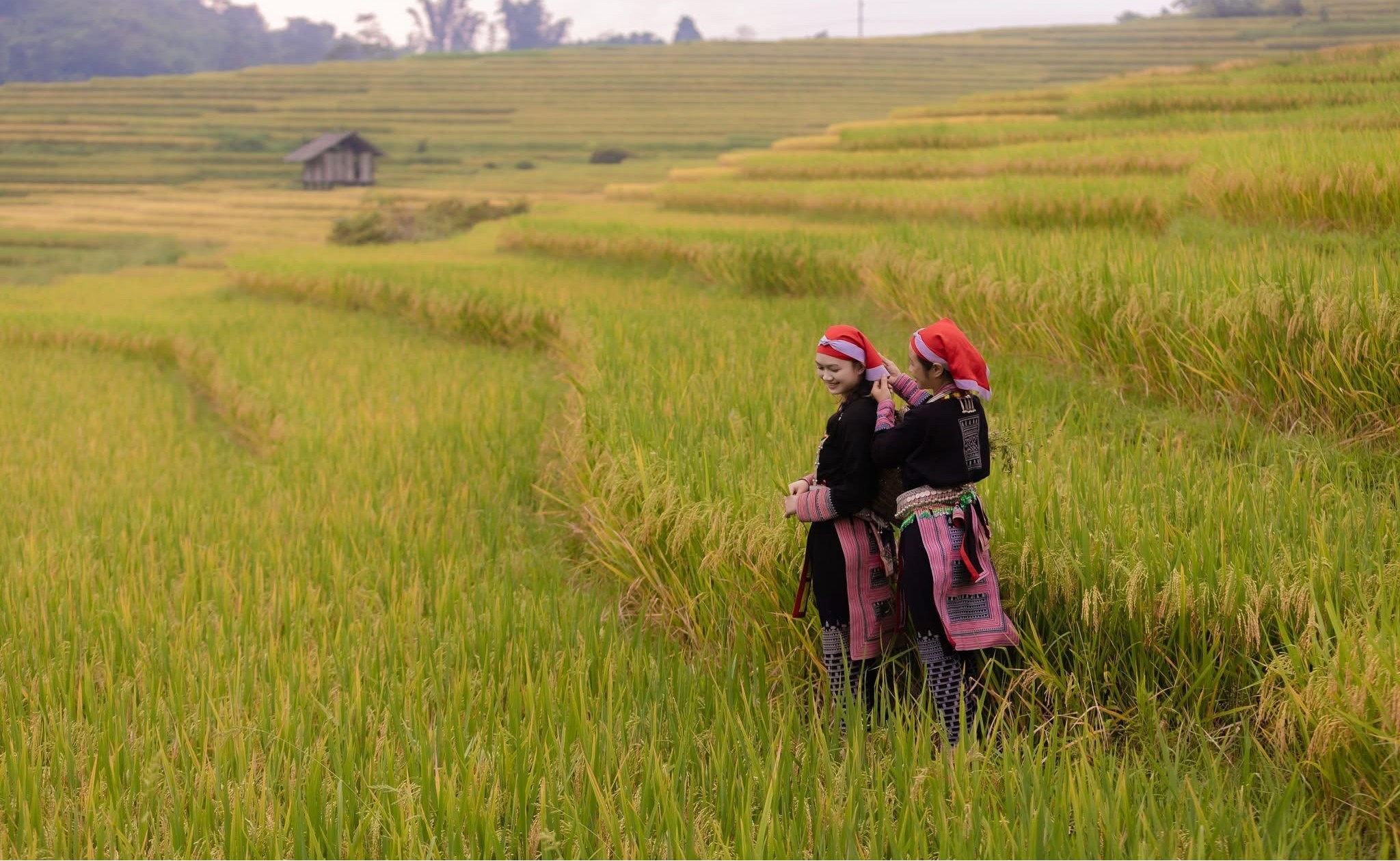 Ha Giang Jeep Adventure 4 Days – Premium Private Jeep Tours Led by Women Ha Giang Jeep Adventure 4 Days – Premium Private Jeep Tours Led by Women